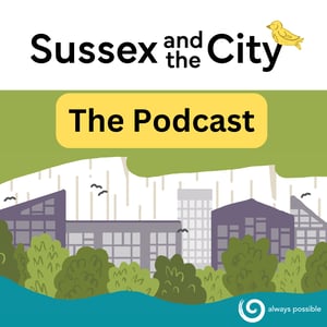 SATC podcast cover (1)-1