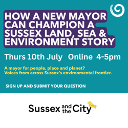 NEW MAYOR EVENT